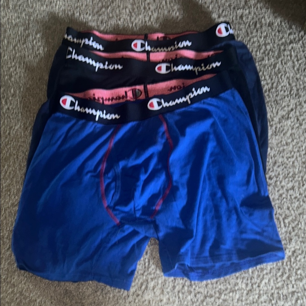 3 pairs of Champion Briefs Large